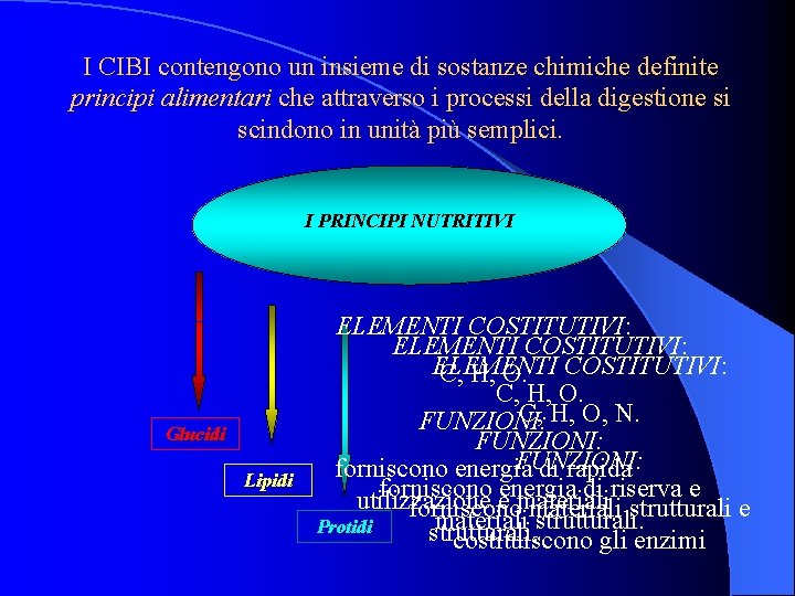 I CIBI contengono un insieme di sostanze chimiche definite principi alimentari che attraverso i