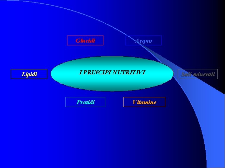 Glucidi Lipidi Acqua I PRINCIPI NUTRITIVI Protidi Vitamine Sali minerali 