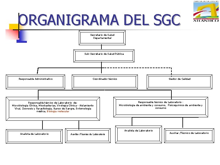 ORGANIGRAMA DEL SGC Secretario de Salud Departamental Sub-Secretario de Salud Pública Responsable Administrativo Coordinador