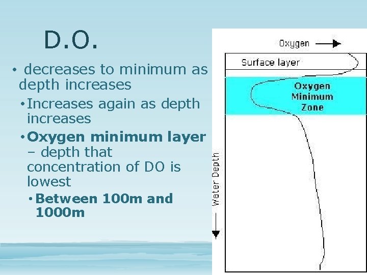 D. O. • decreases to minimum as depth increases • Increases again as depth