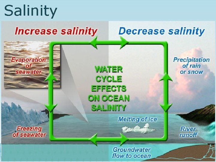 Salinity 