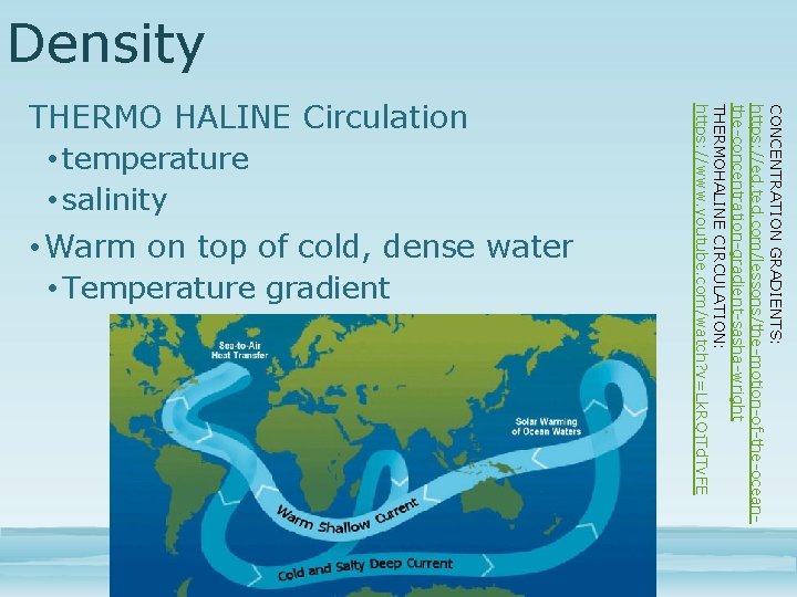 Density • Warm on top of cold, dense water • Temperature gradient CONCENTRATION GRADIENTS: