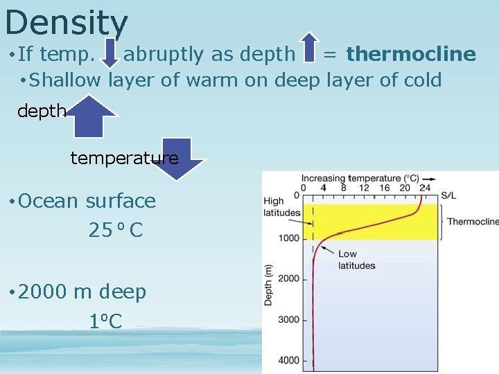 Density • If temp. abruptly as depth = thermocline • Shallow layer of warm
