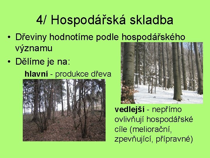 4/ Hospodářská skladba • Dřeviny hodnotíme podle hospodářského významu • Dělíme je na: hlavní