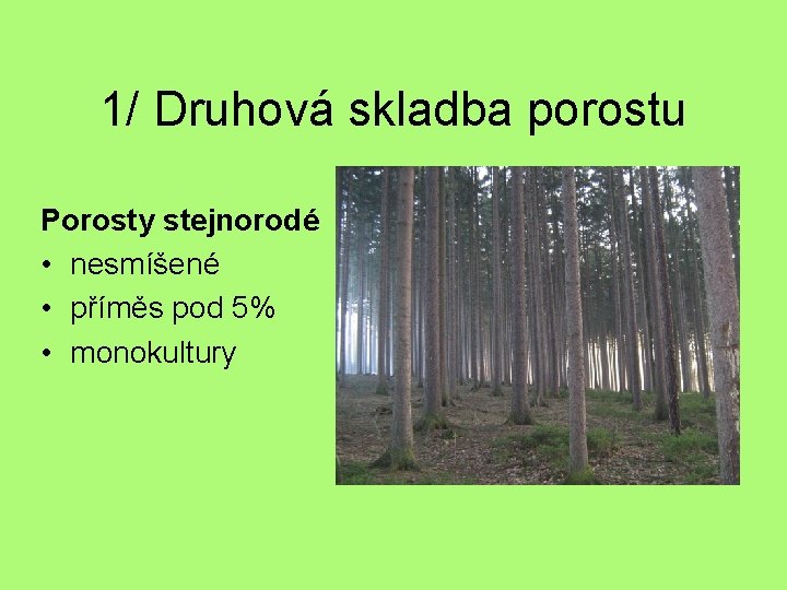 1/ Druhová skladba porostu Porosty stejnorodé • nesmíšené • příměs pod 5% • monokultury