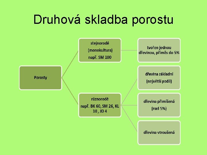 Druhová skladba porostu 