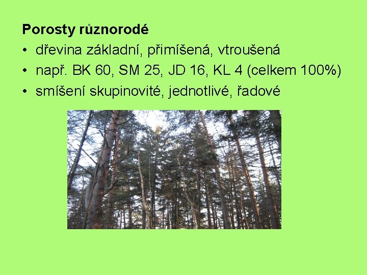 Porosty různorodé • dřevina základní, přimíšená, vtroušená • např. BK 60, SM 25, JD