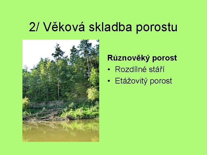 2/ Věková skladba porostu Různověký porost • Rozdílné stáří • Etážovitý porost 