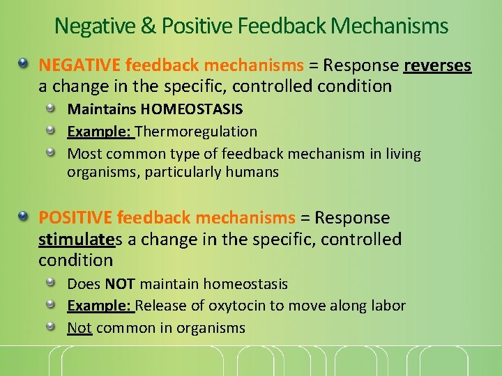 Negative & Positive Feedback Mechanisms NEGATIVE feedback mechanisms = Response reverses a change in