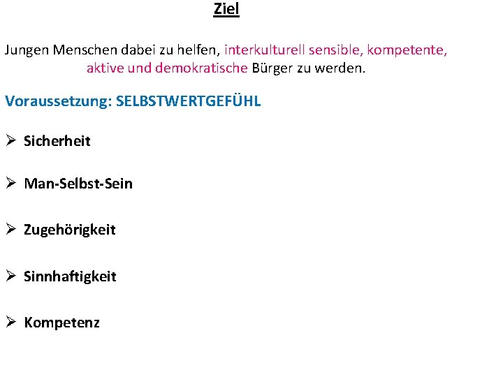 Ziel Jungen Menschen dabei zu helfen, interkulturell sensible, kompetente, aktive und demokratische Bürger zu
