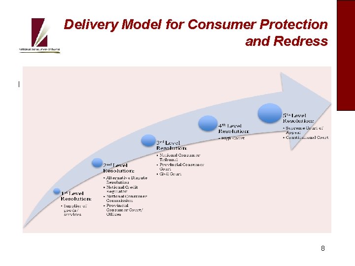 Delivery Model for Consumer Protection and Redress I 8 