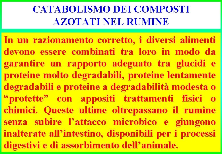 CATABOLISMO DEI COMPOSTI AZOTATI NEL RUMINE In un razionamento corretto, i diversi alimenti devono