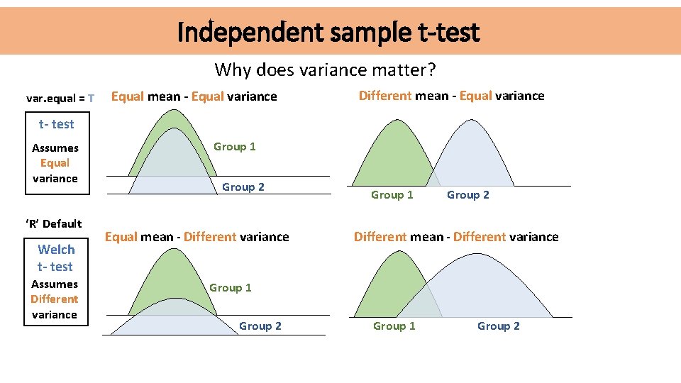 Independent sample t-test Why does variance matter? var. equal = T Equal mean -
