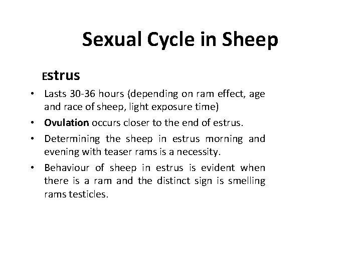Sexual Cycle in Sheep Estrus • Lasts 30 -36 hours (depending on ram effect,