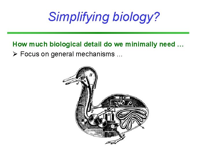 Simplifying biology? How much biological detail do we minimally need … Ø Focus on