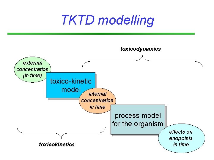 TKTD modelling toxicodynamics external concentration (in time) toxico-kinetic model internal concentration in time process