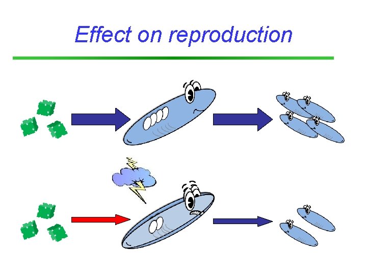 Effect on reproduction 