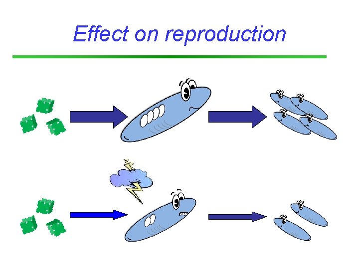 Effect on reproduction 