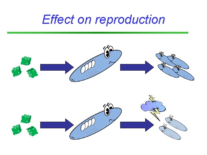 Effect on reproduction 