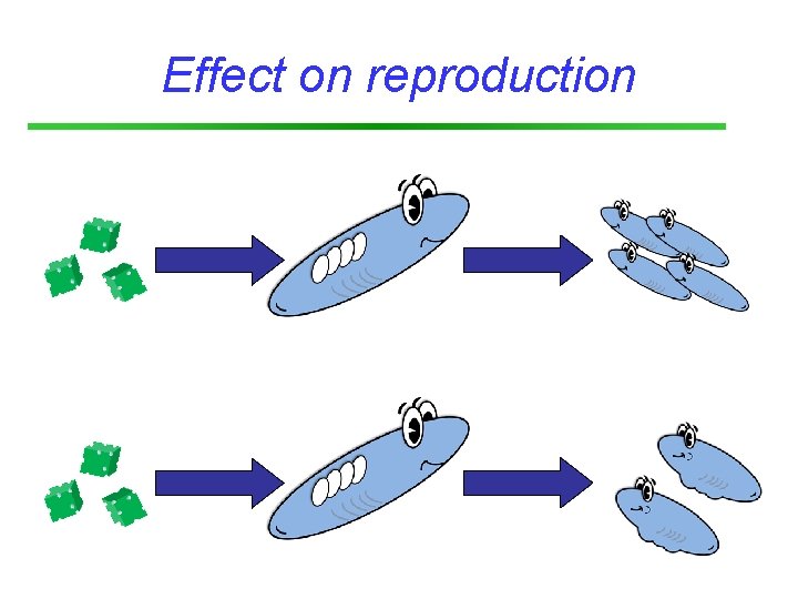 Effect on reproduction 