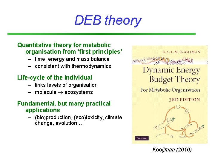 DEB theory Quantitative theory for metabolic organisation from ‘first principles’ – time, energy and