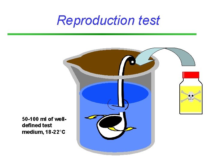 Reproduction test 50 -100 ml of welldefined test medium, 18 -22°C 