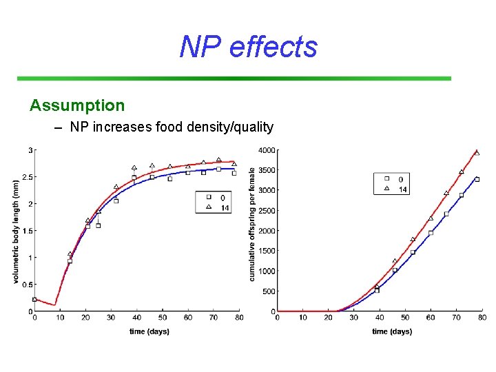 NP effects Assumption – NP increases food density/quality 