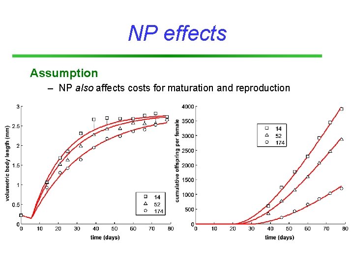 NP effects Assumption – NP also affects costs for maturation and reproduction 