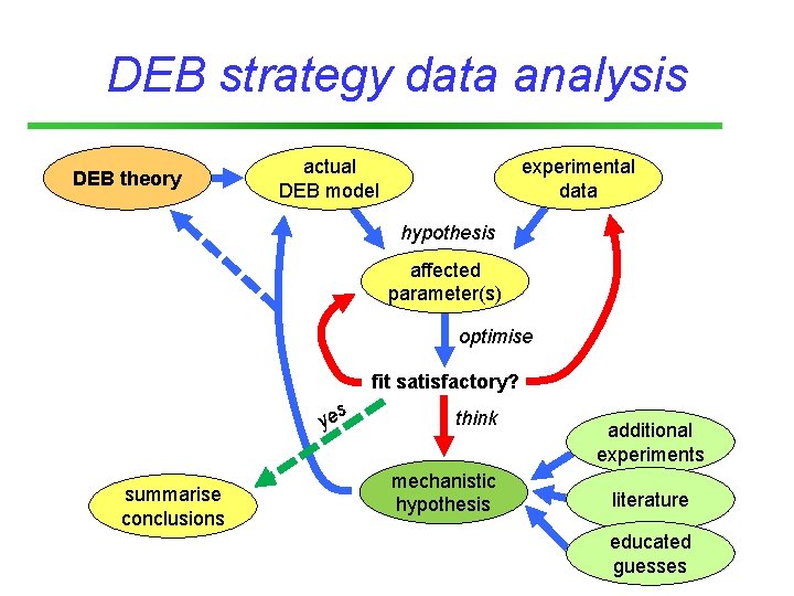 DEB strategy data analysis DEB theory actual DEB model experimental data hypothesis affected parameter(s)