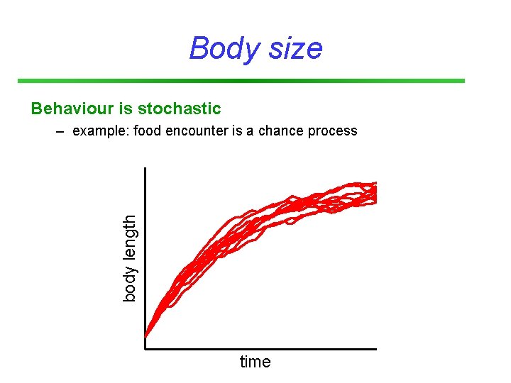 Body size Behaviour is stochastic body length – example: food encounter is a chance