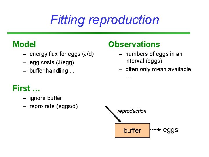 Fitting reproduction Model – energy flux for eggs (J/d) – egg costs (J/egg) –