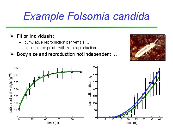 Example Folsomia candida Ø Fit on individuals: – cumulative reproduction per female … –