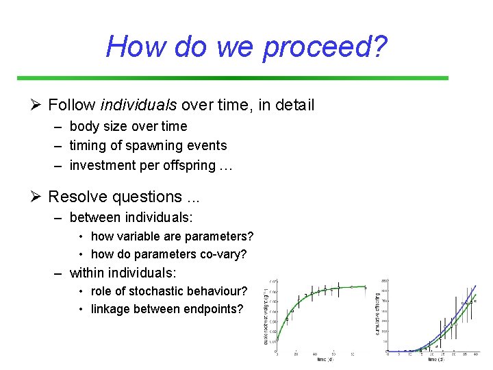How do we proceed? Ø Follow individuals over time, in detail – body size