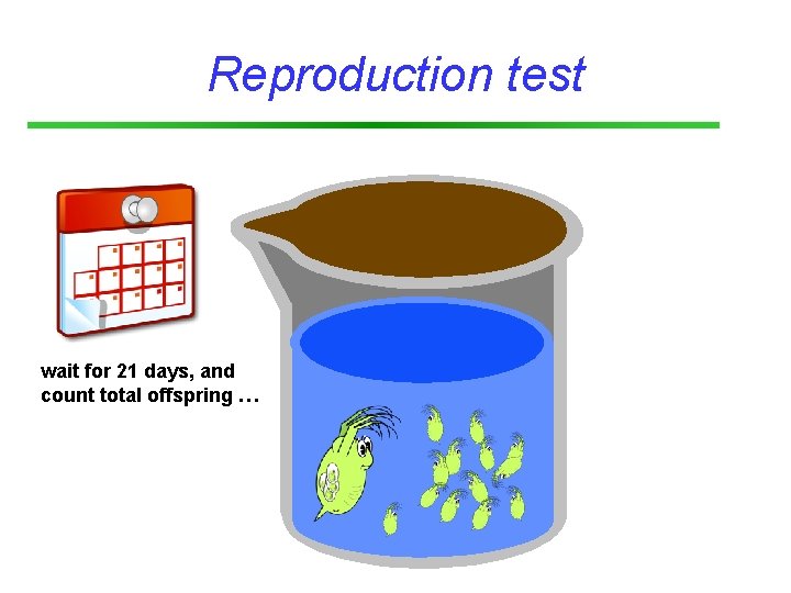 Reproduction test wait for 21 days, and count total offspring … 