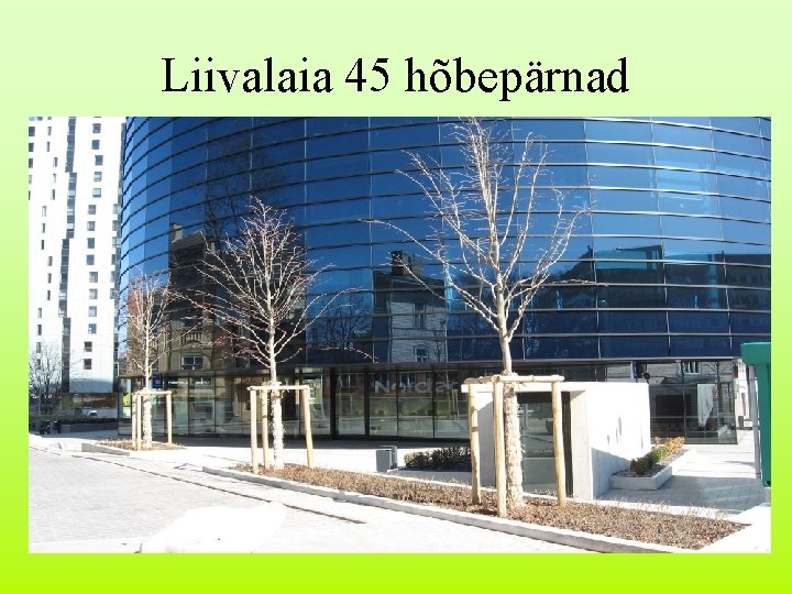 Liivalaia 45 hõbepärnad 