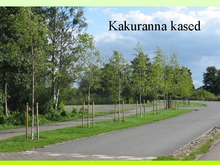 Kakuranna kased 