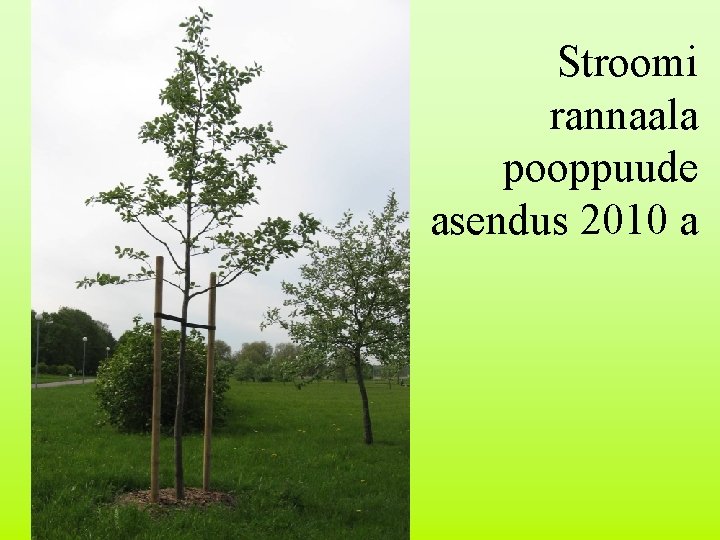 Stroomi rannaala pooppuude asendus 2010 a 