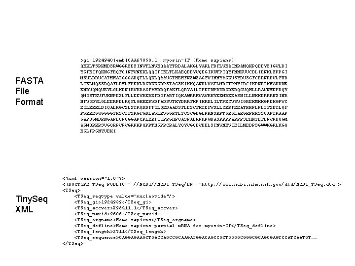 FASTA File Format Tiny. Seq XML >gi|1924940|emb|CAA 67058. 1| myosin-IF [Homo sapiens] QEKLTSRKMDSRWGGRSESINVTLNVEQAAYTRDALAKGLYARLFDFLVEAINRAMQKPQEEYSIGVLDI YGFEIFQKNGFEQFCINFVNEKLQQIFIELTLKAEQEEYVQEGIRWTPIQYFNNKVVCDLIENKLSPPGI