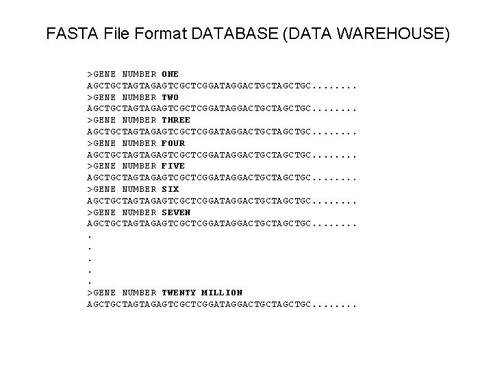 FASTA File Format DATABASE (DATA WAREHOUSE) >GENE NUMBER ONE AGCTGCTAGTAGAGTCGCTCGGATAGGACTGCTAGCTGC. . . . >GENE