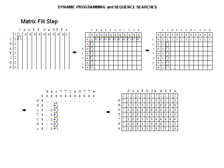DYNAMIC PROGRAMMING and SEQUENCE SEARCHES Matrix Fill Step 