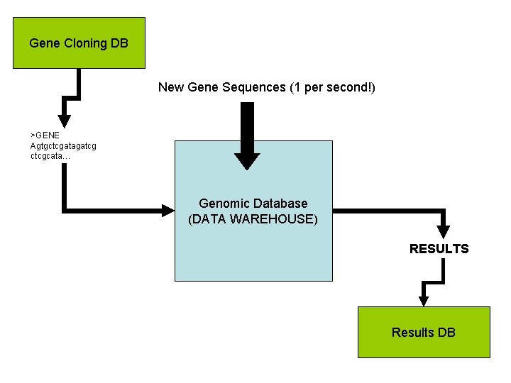 Gene Cloning DB New Gene Sequences (1 per second!) >GENE Agtgctcgatagatcg ctcgcata… Genomic Database