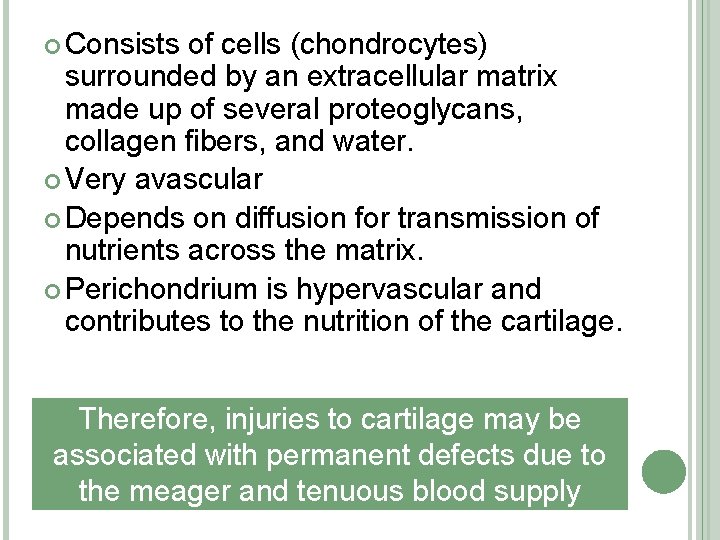  Consists of cells (chondrocytes) surrounded by an extracellular matrix made up of several