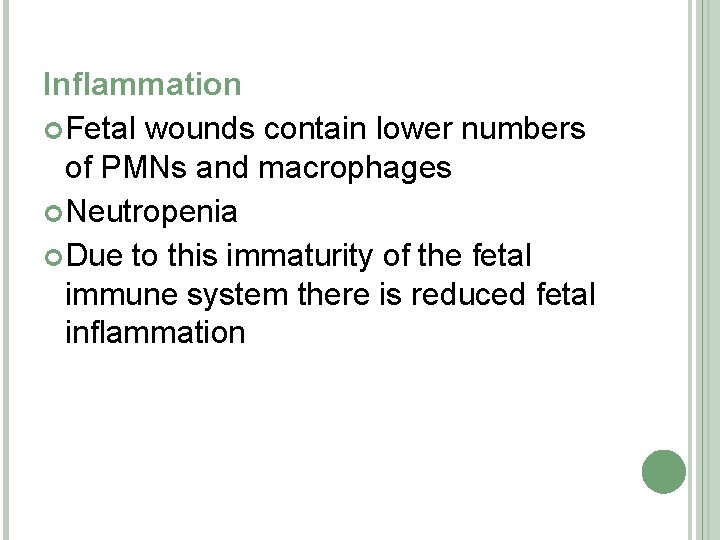 Inflammation Fetal wounds contain lower numbers of PMNs and macrophages Neutropenia Due to this