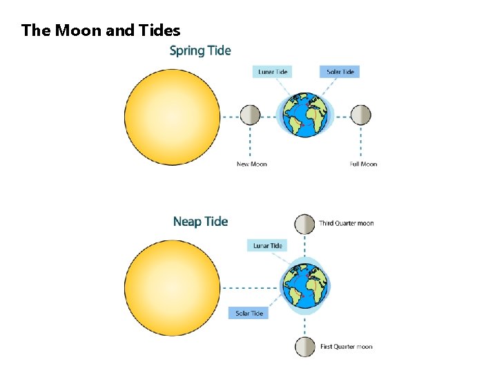 The Moon and Tides 