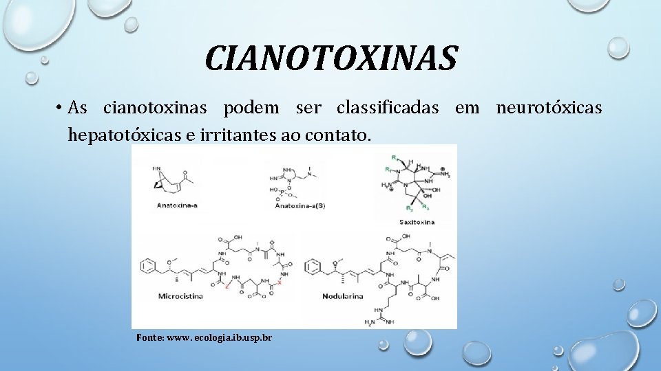 CIANOTOXINAS • As cianotoxinas podem ser classificadas em neurotóxicas hepatotóxicas e irritantes ao contato.