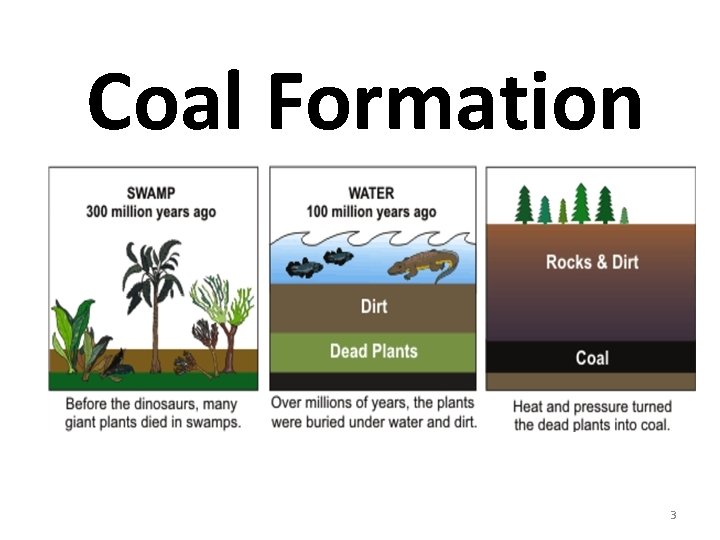 Coal Formation 3 