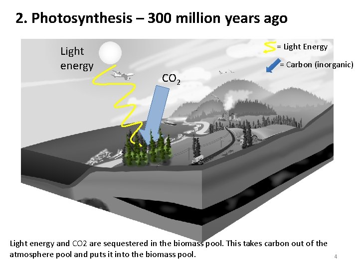 2. Photosynthesis – 300 million years ago Light energy = Light Energy = Carbon