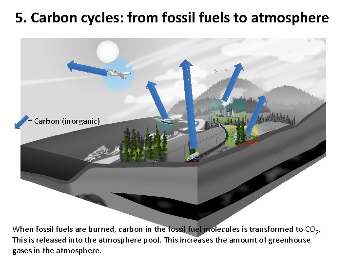 5. Carbon cycles: from fossil fuels to atmosphere = Carbon (inorganic) When fossil fuels