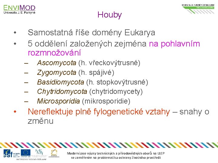 Houby • • Samostatná říše domény Eukarya 5 oddělení založených zejména na pohlavním rozmnožování