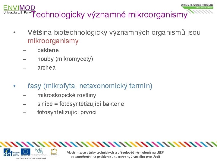 Technologicky významné mikroorganismy • Většina biotechnologicky významných organismů jsou mikroorganismy – – – •